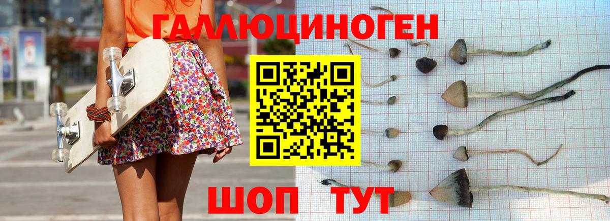 Галлюциногенные грибы GOLDEN TEACHER Усть-Джегута