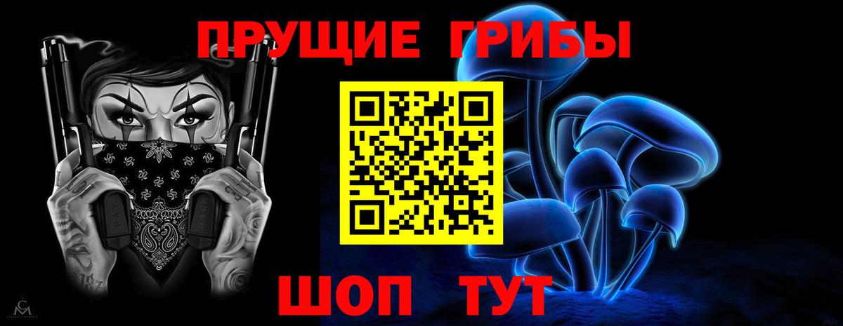 закладки  Вход с VPN  Усть-Джегута  Галлюциногенные грибы GOLDEN TEACHER 